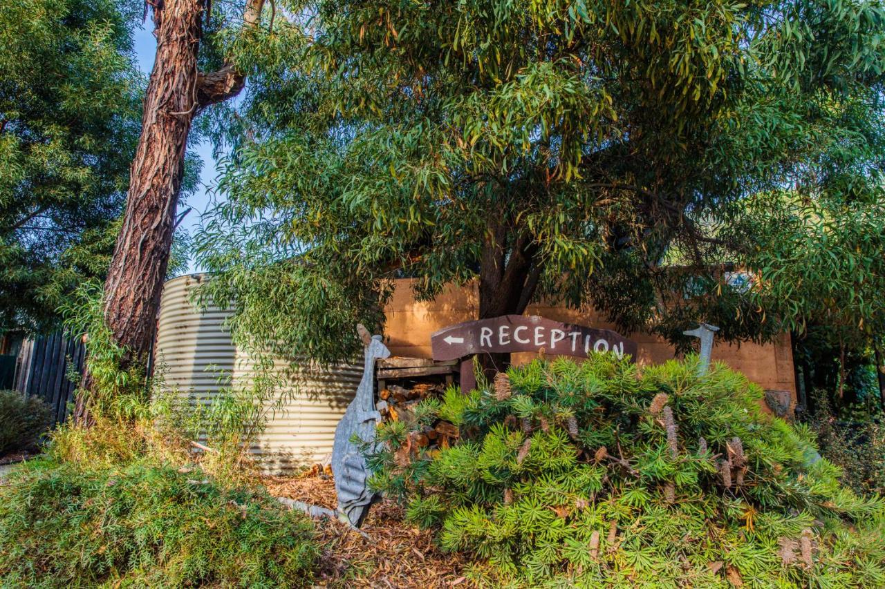 Yha Grampians Eco, Halls Gap Zewnętrze zdjęcie