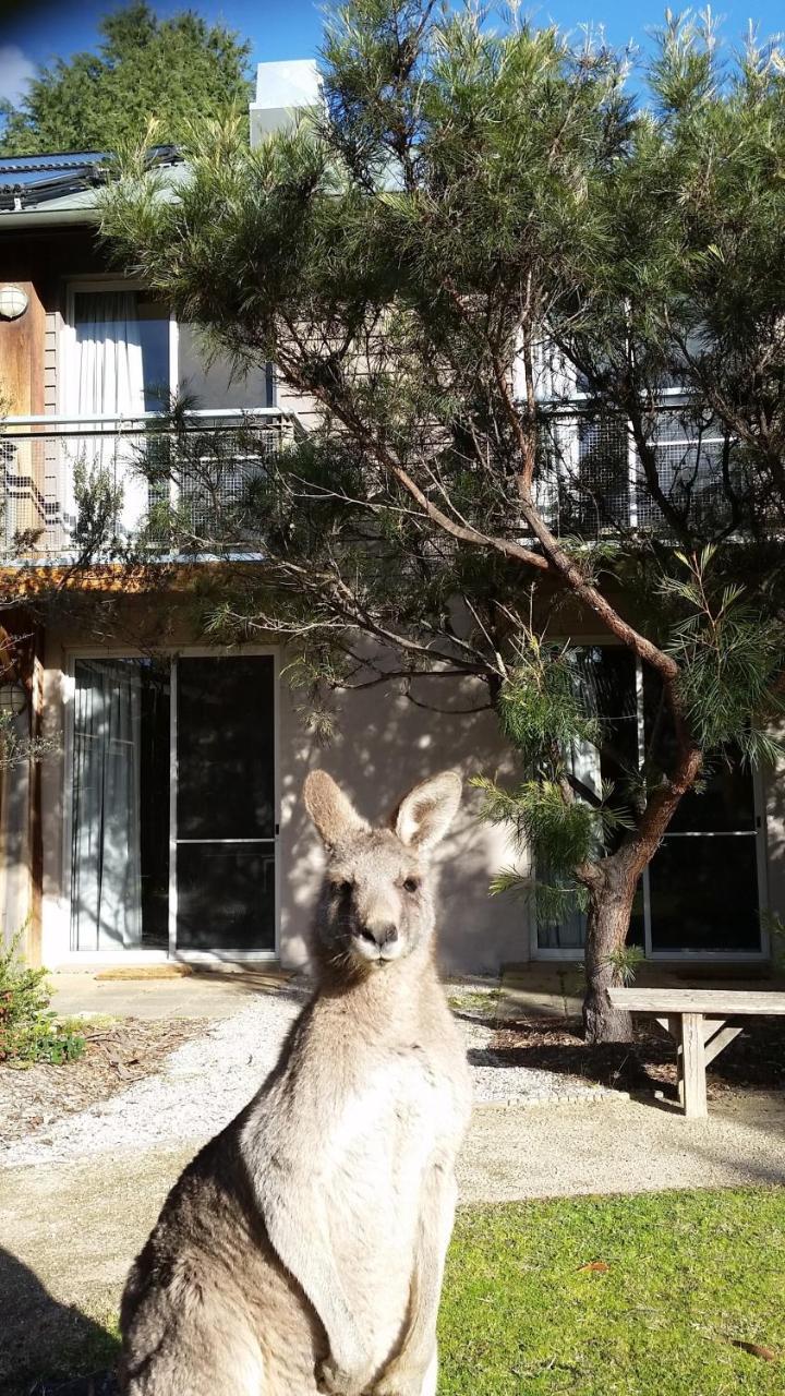 Yha Grampians Eco, Halls Gap Zewnętrze zdjęcie