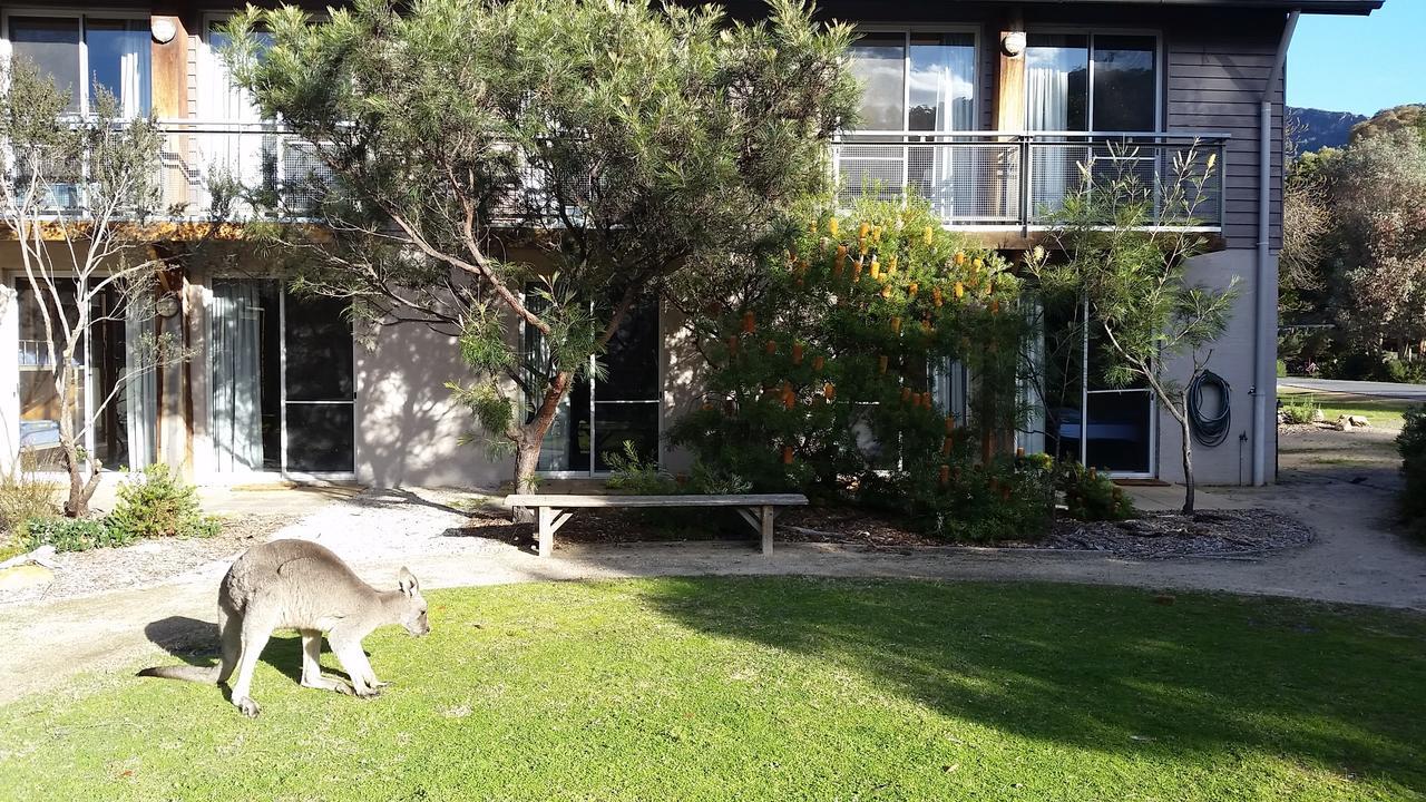Yha Grampians Eco, Halls Gap Zewnętrze zdjęcie